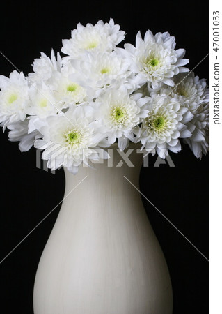 bouquet of flowers in vase isolated  47001033