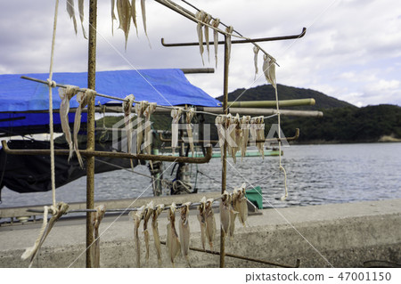 Dried fish 47001150