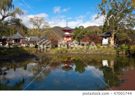 Kyoto Daimakuji Pearl Treasure Pagoda Kyoto Daimakuji Pearl Treasure Pagoda 47001744