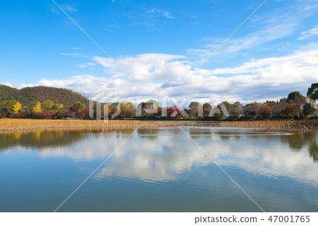 Kyoto Daikakuji Osawa Pond in the fall 47001765
