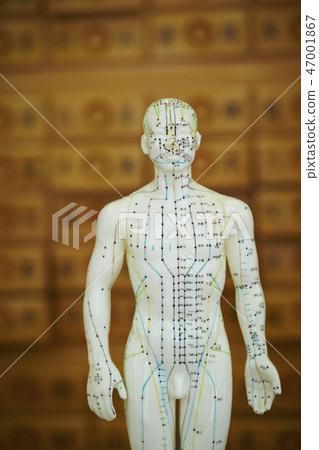 Acupuncture acupuncture doll Oriental medicine image 47001867