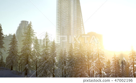 sity and forest in snow at sunrise 47002196