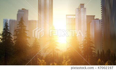 Forest hillside and city landscape Forest hillside and city landscape 47002197