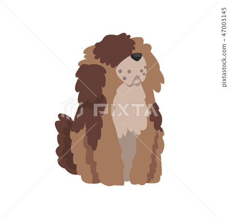 Cute shaggy dog, funny pet character, furry human friend vector Illustration 47003145