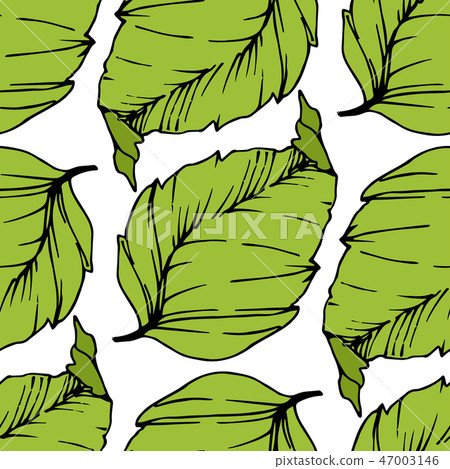 Vector Cherry fruits on white background. Green leaf. Red and green engraved ink art. Seamless Vector Cherry fruits on white background. Green leaf. Red and green engraved ink art. Seamless 47003146