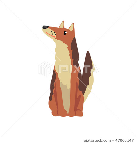 Cute dog, funny pet character, furry human friend vector Illustration Cute dog, funny pet character, furry human friend vector Illustration 47003147