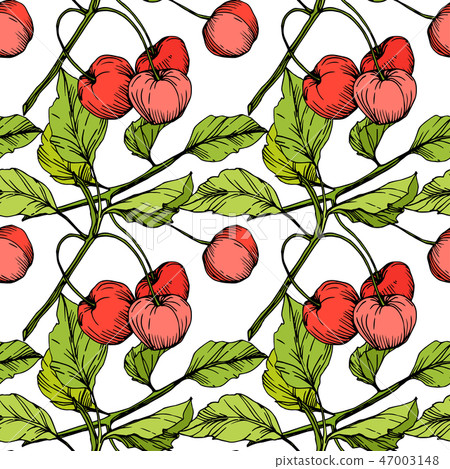 Vector Cherry fruits on white background. Green leaf. Red and green engraved ink art. Seamless 47003148