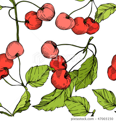Vector Cherry fruits on white background. Green leaf. Red and green engraved ink art. Seamless Vector Cherry fruits on white background. Green leaf. Red and green engraved ink art. Seamless 47003150
