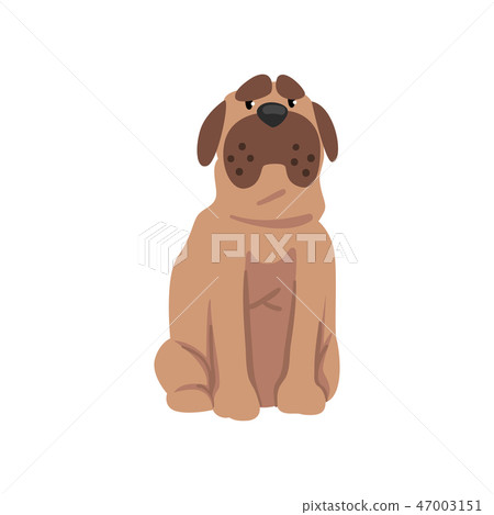 Cute bulldog dog, funny pet character, furry human friend vector Illustration Cute bulldog dog, funny pet character, furry human friend vector Illustration 47003151