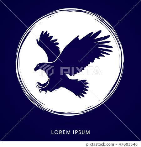 Eagle flying attack graphic vector. Eagle flying attack graphic vector. 47003546