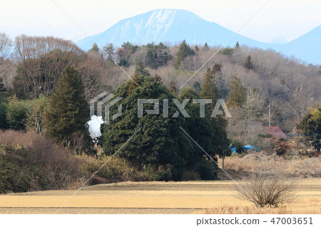 "SL small reflected in the gap between large trees" against the background of Nikko mountains 47003651