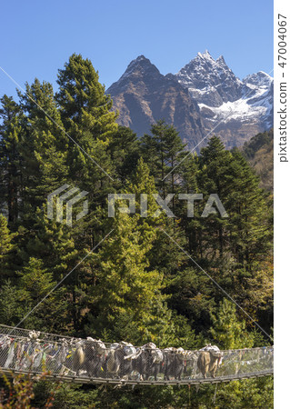 Yaks caravan crossing suspension bridge, Himalayas Yaks caravan crossing suspension bridge, Himalayas 47004067