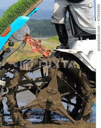 Male image rice planting with rice transplanter Male image rice planting with rice transplanter 47004090
