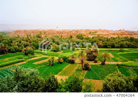 Landscape near Ouarzazade Landscape near Ouarzazade 47004164