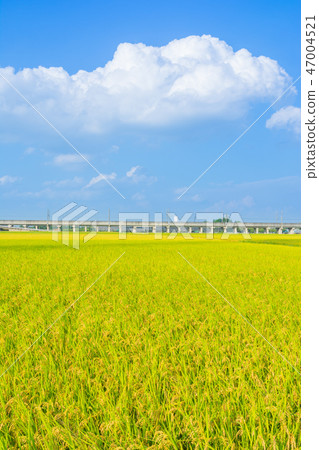 與藍天傳播的鄉下風景 與藍天傳播的鄉下風景 47004521