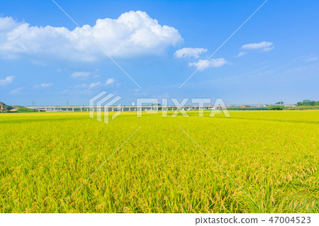 與藍天傳播的鄉下風景 與藍天傳播的鄉下風景 47004523