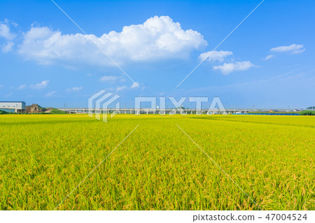 與藍天傳播的鄉下風景 與藍天傳播的鄉下風景 47004524