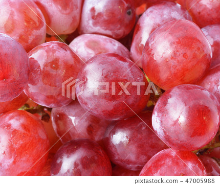 Red grape with water drops, closeup background 47005988