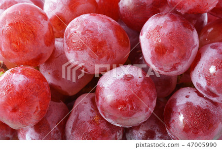 Red grape with water drops, closeup background 47005990