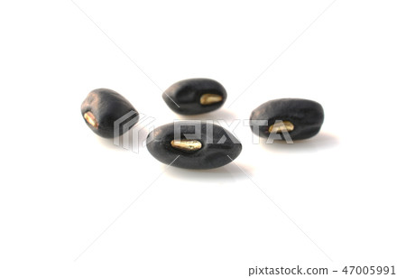 Beans isolated on white background Beans isolated on white background 47005991
