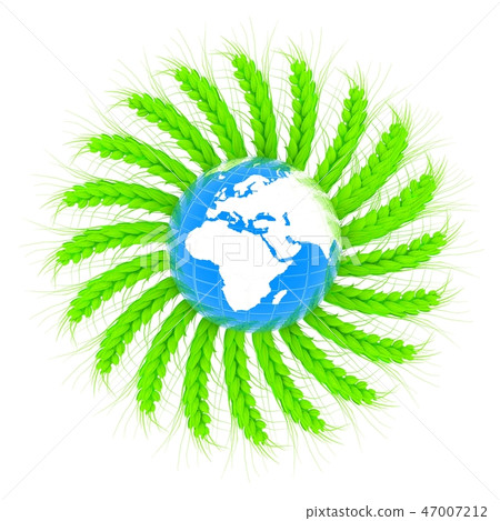 3D illustration of green wreath of wheat spikelet 3D illustration of green wreath of wheat spikelet 47007212