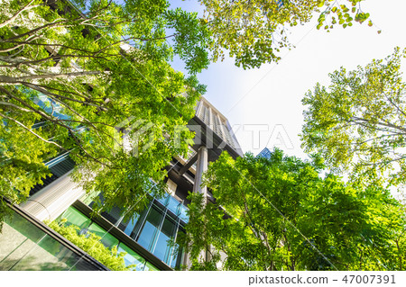 Landscape of many green office streets Landscape of many green office streets 47007391