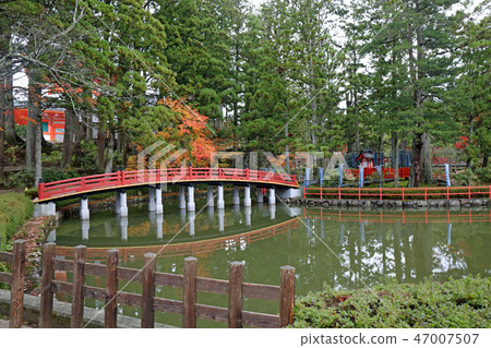 Takanoyamacho in the fall 47007507