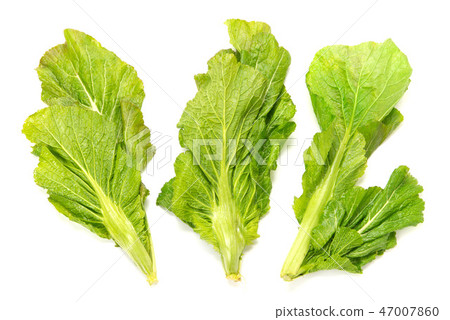 Yamagata Aona Yamagata Aona 47007860