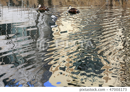 Lake water 47008173