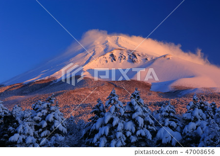 World Heritage Mt. Fuji Suizuka Park Hard winter New snow 47008656