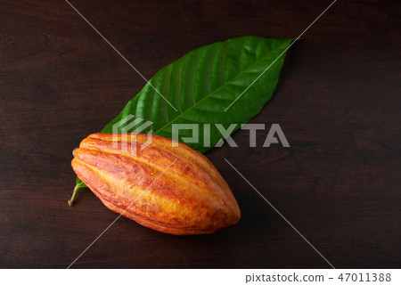 Orange color raw pod 47011388