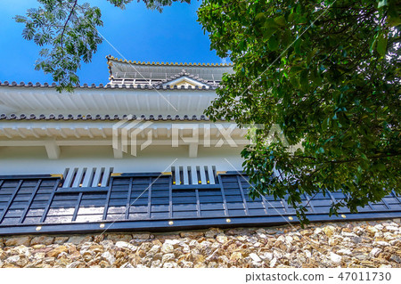 岐阜城堡遺址 岐阜城堡遺址 47011730