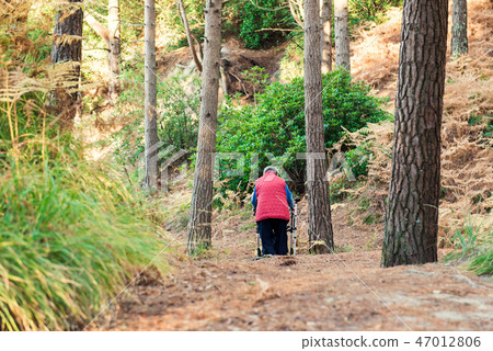 Alone Disabled aged female person with walker Alone Disabled aged female person with walker 47012806