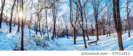 Snowy park with sun in winter, Nitra, Slovakia 47012852