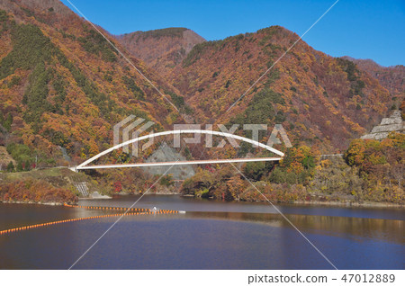 Azuma lake in autumn leaves 47012889