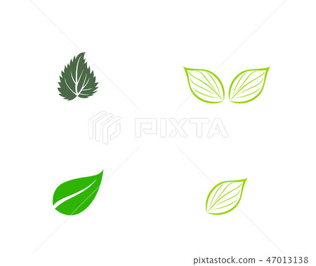 green leaf ecology nature element vector icon 47013138