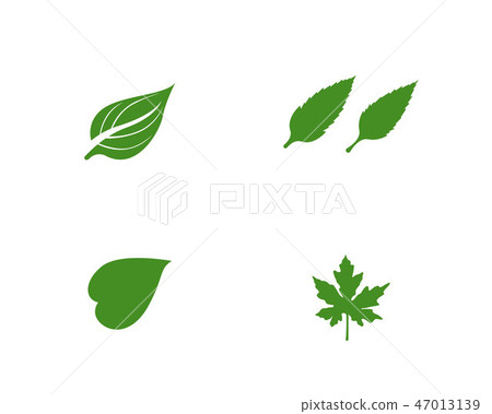green leaf ecology nature element vector icon 47013139
