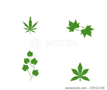 green leaf ecology nature element vector icon 47013149