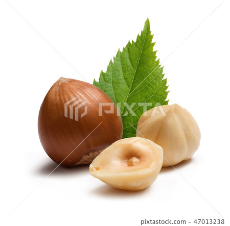 Hazelnuts and leafs on white background Hazelnuts and leafs on white background 47013238