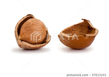 Hazelnuts isolated on white background 47013241