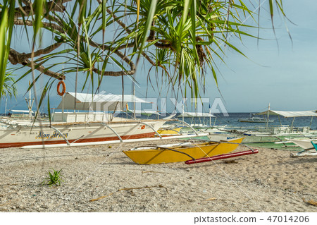 Boats in the beach shores of Balicasag Island, near Panglao, Philippines. 47014206