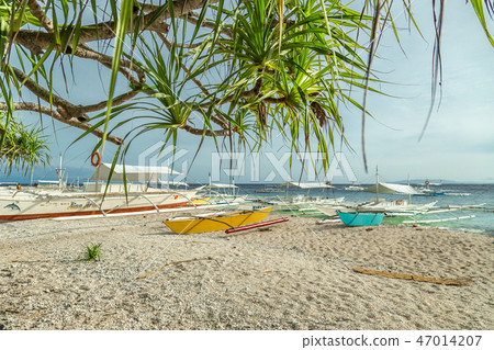 Boats in the beach shores of Balicasag Island, near Panglao, Philippines. 47014207