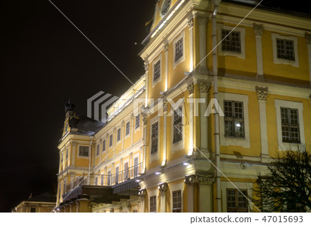 The Menshikov Palace in Saint Petersburg. 47015693