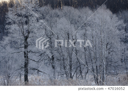 Foggy ice Foggy ice 47016052