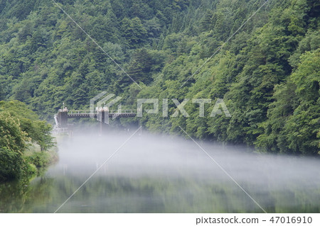 Shiratani Dam in the Itatori River in the morning mist 47016910