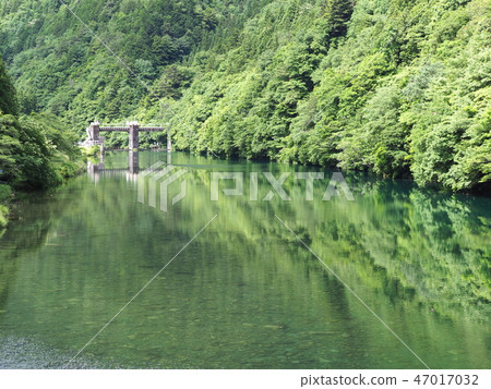 Fresh green Itatorikawa Shiratani Dam 47017032
