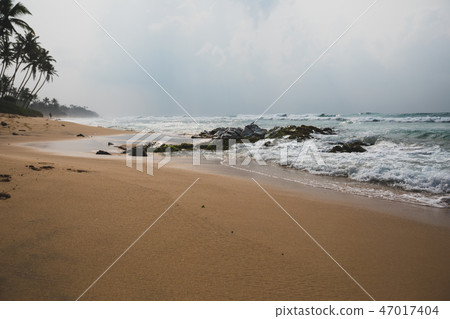 tropical island beach with palm trees   47017404