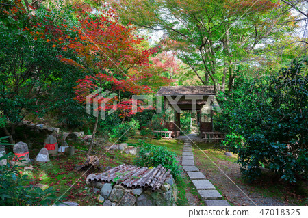 秋葉在京都 47018325