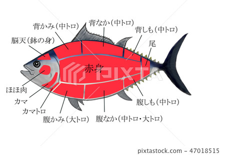 Tuna part map 47018515
