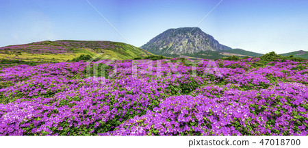 mountain mountain 47018700